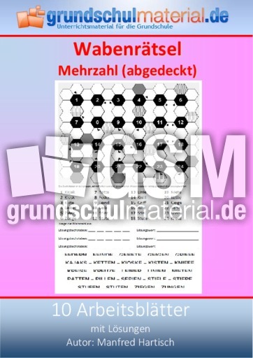 Wabenrätsel_Mehrzahl_(Abgedeckt).pdf
